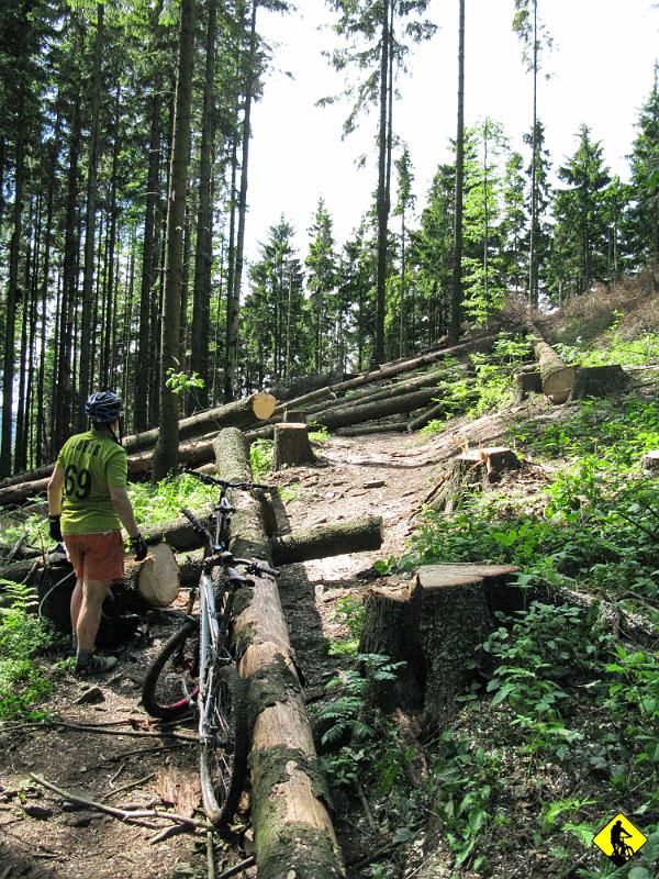 foto 077.jpg - Do momentu, gdzie drwale czy inne leśne skrzaty z piłami łańcuchowymi pozwoliły sobie sprawić psikusa turystom.